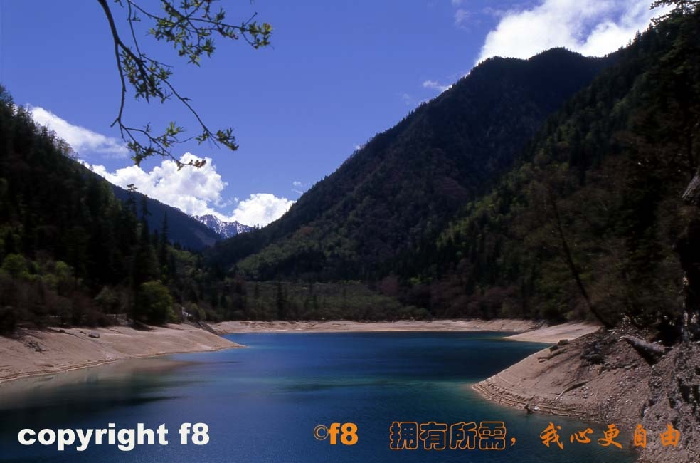 谷中碧水
