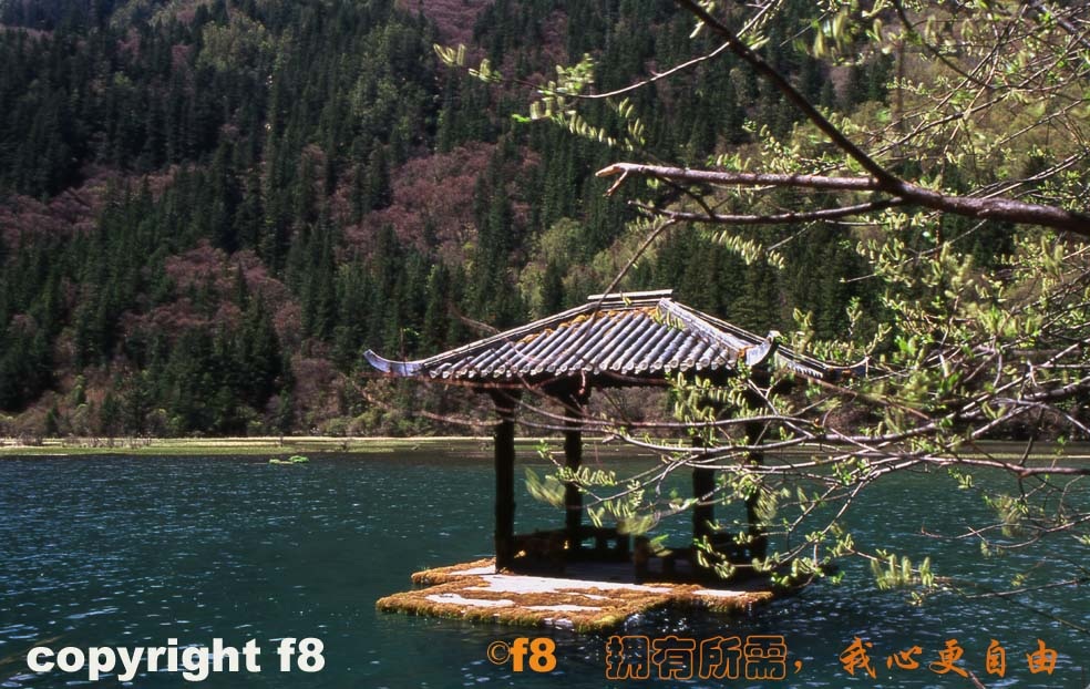 湖畔小亭