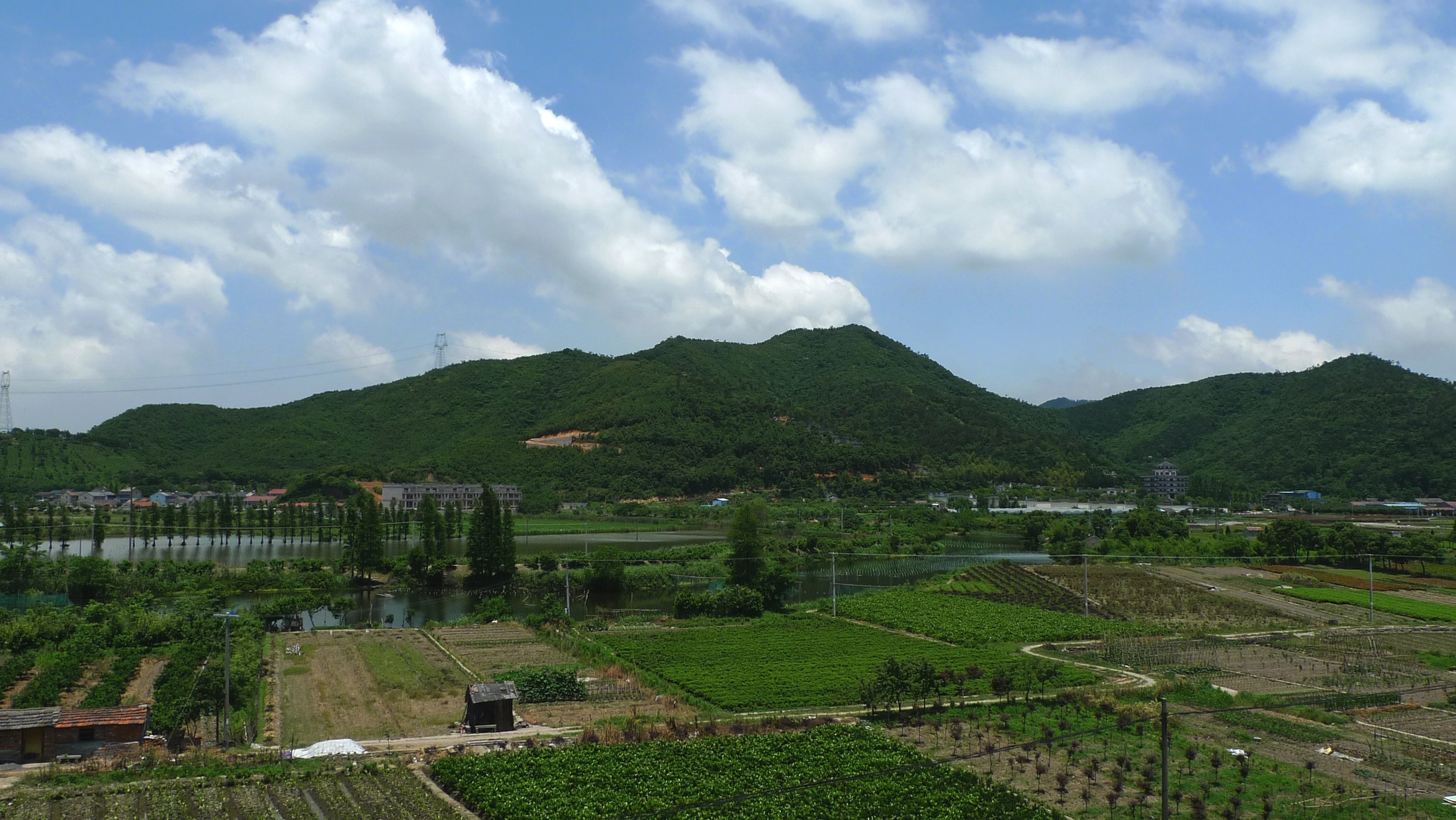 青山田畴